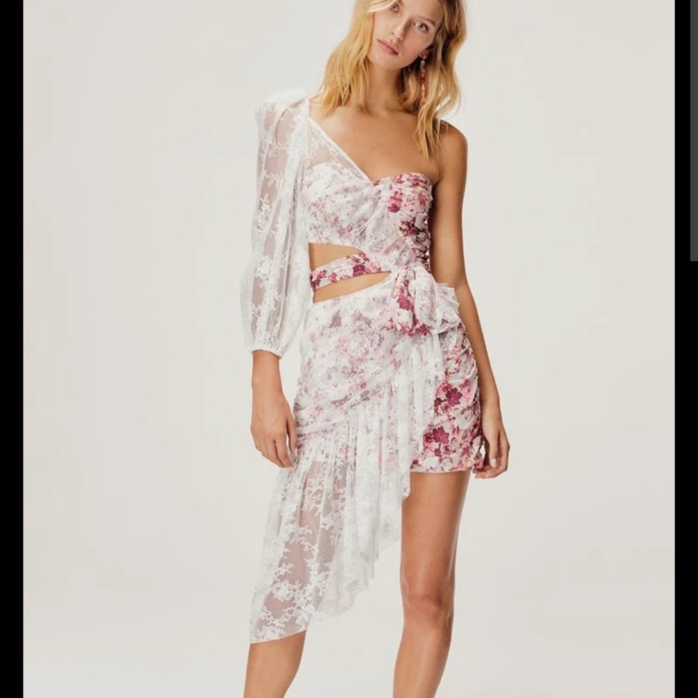 For Love And Lemons Dallas Dress